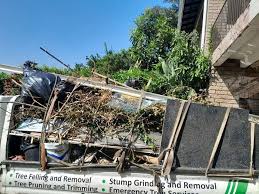 Best Commercial Junk Removal  in Fellsmere, FL